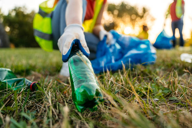 Best Yard Cleanup Services  in Greenville, IN